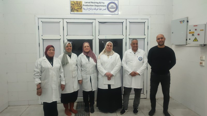 معهد علوم البحار يحقق إنجازاً علميا في مجال الاستزراع السمكي