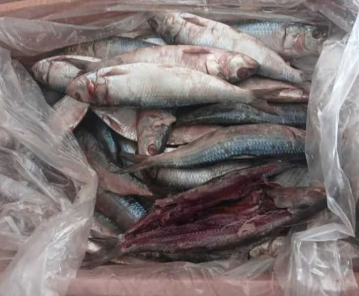 ضبط 156 طنًا من اللحوم المخالفة والغير صالحة