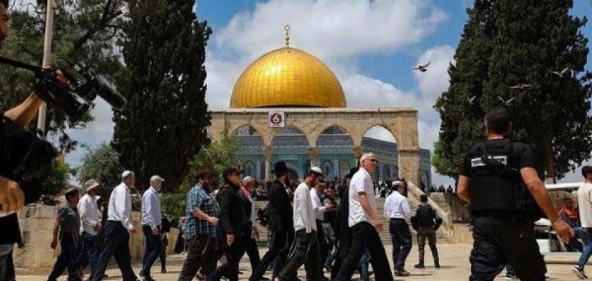 العكلوك: إسرائيل دنست المقدسات الإسلامية والمسيحية في القدس