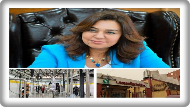 د. منال عوض تعلن التشغيل التجريبي لمجزر أبو كبير بمحافظة الشرقية بتكلفة 25 مليون جنيه
