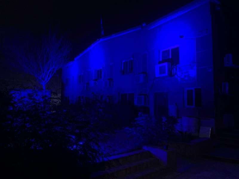 إضاءة مبنى المجلس القومي للإعاقة باللون الأزرق رسالة دعم وتمكين للأشخاص ذوي التوحد