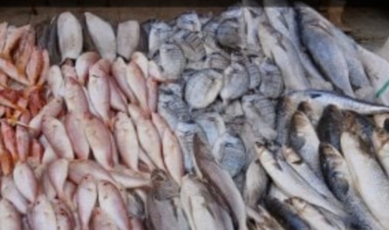 أصحاب مزارع الأسماك بدمياط  في مواجهة مشكلات بسبب قرارات لم تراعي اهميتها ودورها للمواطن المصري