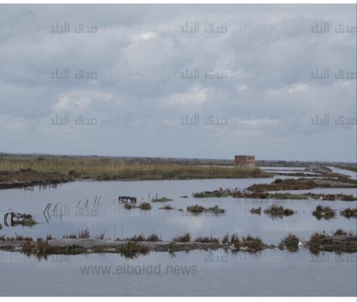 أصحاب مزارع الأسماك بدمياط  في مواجهة مشكلات بسبب قرارات لم تراعي اهميتها ودورها للمواطن المصري