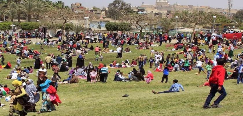 جمال شعبان يوجه تحذيرا عاجلا للمواطنين في شم النسيم