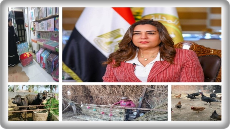 وزيرة التنمية المحلية والبيئة: 22.4 مليون جنيه لتمويل 1338 مشروعاً صغيراً بـ17 محافظة