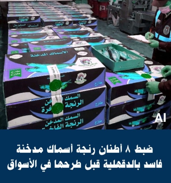 ضبط ٨ أطنان رنجة أسماك مدخنة فاسدة بالدقهلية قبل طرحها في الأسواق