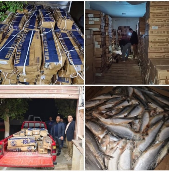 ضبط ٣ طن أسماك مملحة غير صالحة للاستهلاك في شبين الكوم بالمنوفية