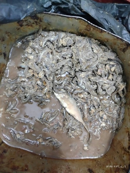 الخدمات البيطرية بالقليوبية تضبط طن فسيخ وسردين غير مطابق للمواصفات الصحية قبل شم النسيم