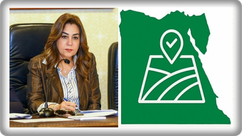 د. منال عوض تستعرض تقريراً حول نتائج الموجة الــ 28 لإزالة التعديات في جميع محافظات الجمهورية