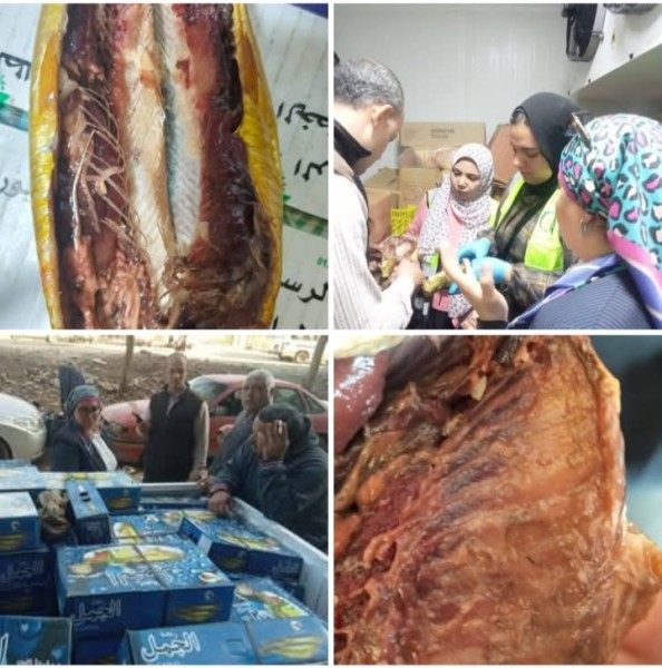 القليوبية: ضبط نصف طن رنجة غير مطابقة للمواصفات وإحتواء الأحشاء علي ديدان