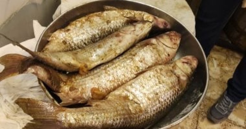 الصحة تكشف أعراض تسمم الفسيخ والمصل المناسب في شم النسيم