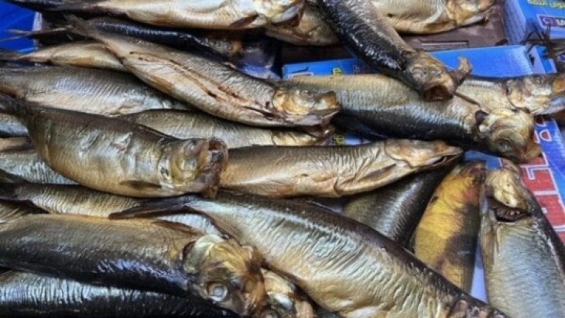 قفزة جنونية.. أسعار الفسيخ والرنجة تصل 700 جنيه للكيلو