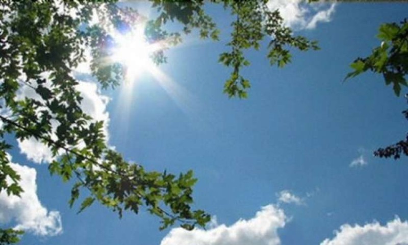 طقس شم النسيم.. أجواء ربيعية مستقرة وارتفاع ملحوظ في درجات الحرارة