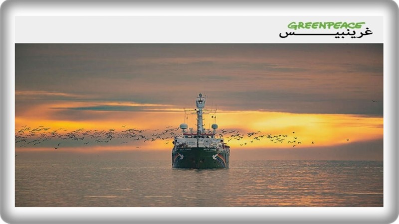 ”غرينبيس” تدفع بسفينتها ”آركتيك صنرايز” لكسر حصار غزة في أضخم مهمة إنسانية لأسطول الصمود 2026