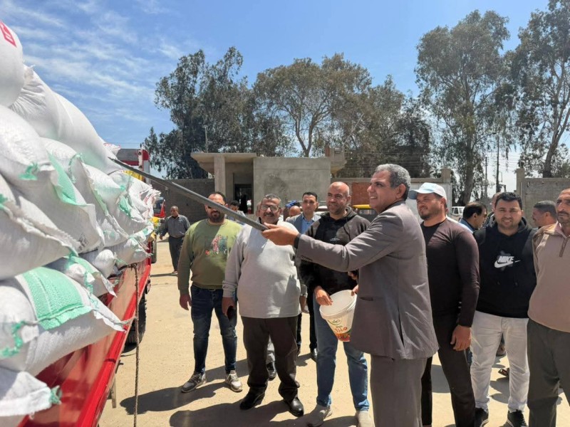 إنطلاق موسم توريد القمح المحلي بالبحيرة