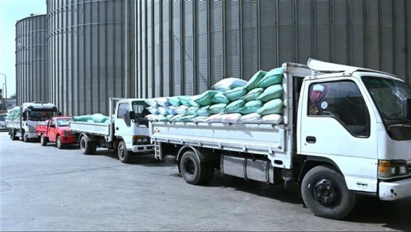 ”ملحمة القمح في البحيرة”.. انضباط في التوريد وسرعة في المحاسبة