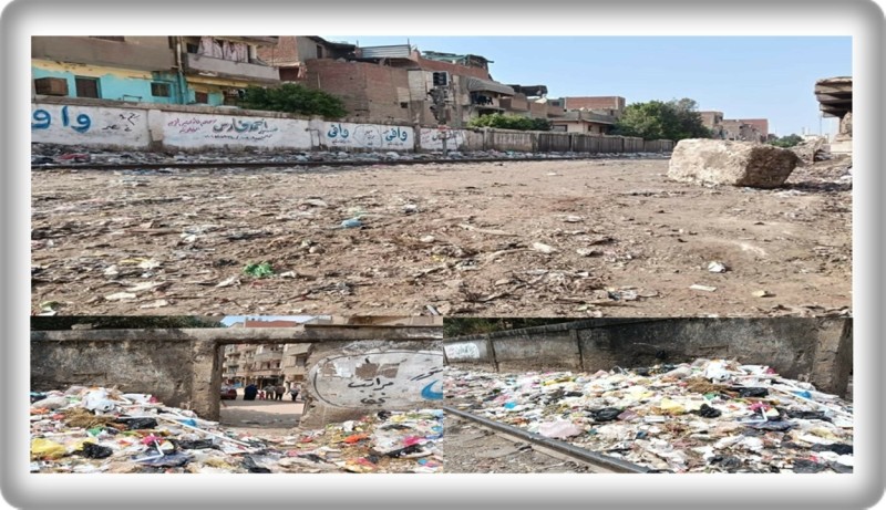 وزيرة التنمية المحلية والبيئة : رفع 80 طن قمامة بالتعاون مع الأجهزة التنفيذية بمحافظة الغربية