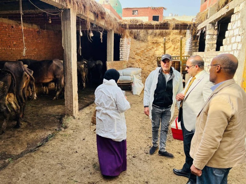 الدقهلية: تحصين 176 ألف رأس في الحملة القومية ضد مرض الجلد العقدى في الأبقار وجدرى الضأن