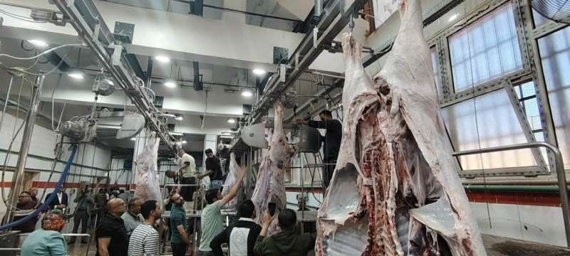 وزيرة التنمية المحلية والبيئة تعلن التشغيل التجريبي لمجزر الزقازيق العام بمحافظة الشرقية 38 مليون جنيه