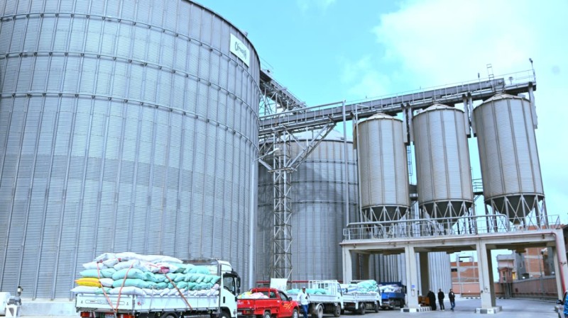 توريد 3884 طن قمح بالبحيرة حتى اليوم