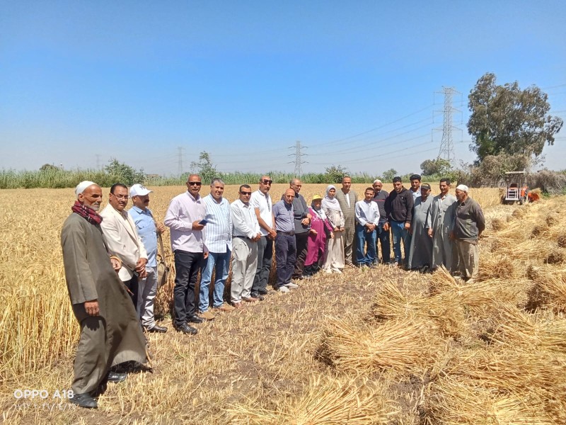 زراعة البحيرة تنظم يوم حصاد للقمح بإيتاي البارود وتؤكد: إنتاجية أعلى بفضل الترشيد والتقنيات الحديثة