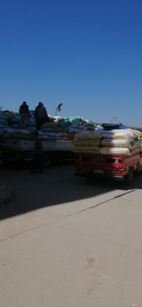 الدقهلية: توريد 12.3 ألف طن قمح لمواقع التخزين والصوامع على مستوى المحافظة