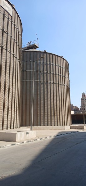 توريد حوالي 28 ألف طن قمح لمواقع التخزين والصوامع على مستوى محافظة  الدقهلية