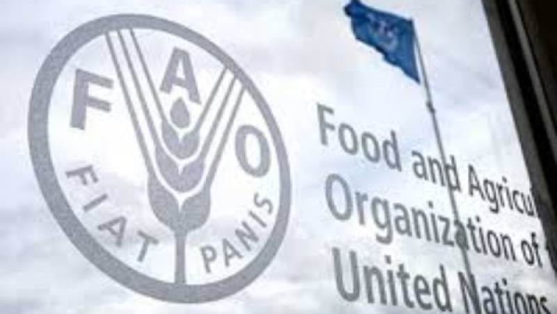 الفاو تُحذر: موجات الحر تُهدد الأمن الغذائي العالمي