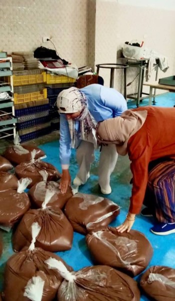 ضبط كيان غير مرخص لتصنيع الشيكولاته من بقايا البسكويت وزيت مجهول المصدر بالمنوفية