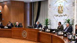 مجلس الوزراء يُوافق على استمرار تطبيق نظام العمل عن بُعد يوم الأحد خلال مايو