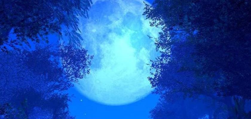 القمر الأزرق وزخات الشهب.. سماء مصر تشهد العديد من الظواهر الفلكية