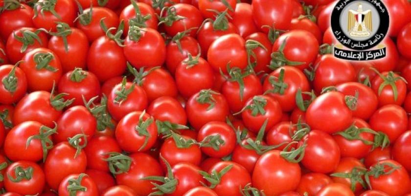 حقيقة وجود طماطم بالأسواق مرشوشة بمادة تسبب الفشل الكلوي