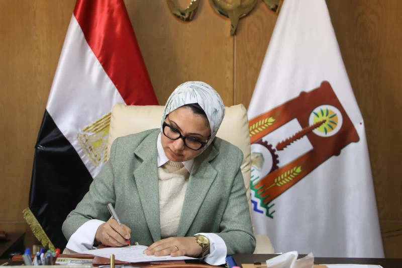 رفع درجة الاستعداد القصوى تزامنا مع عدم استقرار الاحوال الجوية بمحافظ الوادي الجديد