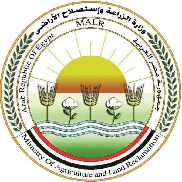 ”الزراعة” تصدر حزمة توصيات عاجلة للمزارعين والمربين لمواجهة التقلبات الجوية الحادة