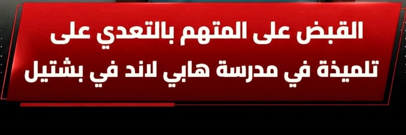 القبض على مدير مدرسة بالجيزة بعد تحرشه بتلميذة في المكتبة