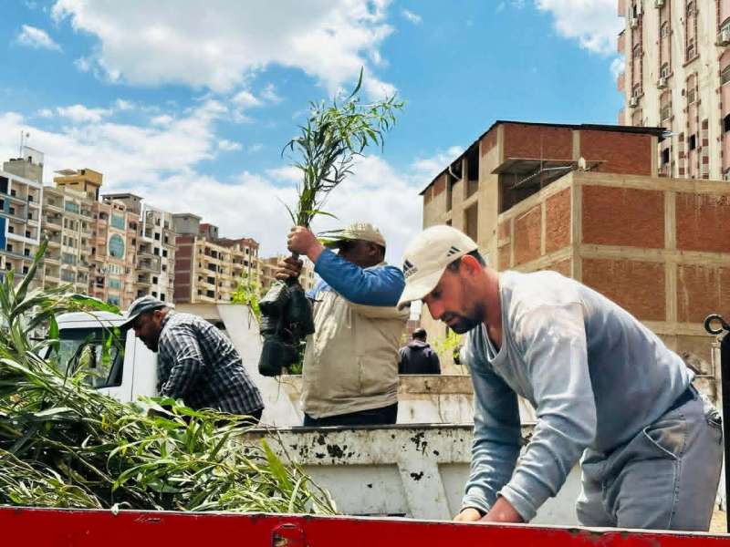 وزيرة التنمية المحلية والبيئة تتابع جهود تنفيذ المبادرة الرئاسية لزراعة 100 مليون شجرة بالمحافظات