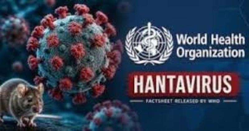 هانتا.. الفيروس المميت يربك العالم القصة الكاملة وأعراضه وطرق الوقاية