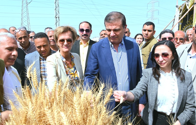 وزير الزراعة ومحافظ البحيرة وسفيرة الاتحاد الأوروبي يشهدون حصاد القمح بأحد الحقول بقرية دنشال