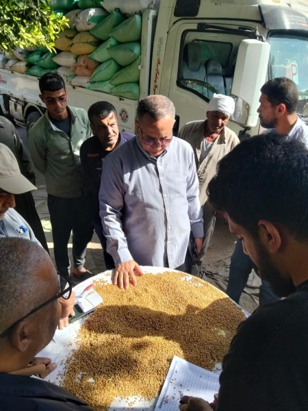 الدقهلية: توريد 205 ألف طن قمح لمواقع التخزين والصوامع على مستوى المحافظة