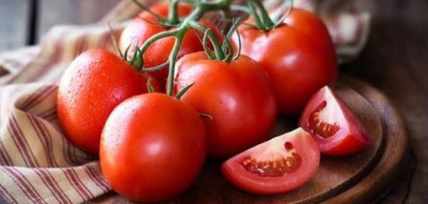 وصلت لـ 40 جنيها.. لماذا ارتفعت أسعار الطماطم بالأسواق بعد انخفاضها؟
