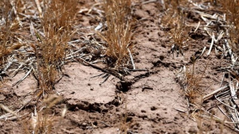 الجفاف وحرب إيران يفاقمان معاناة المزارعين في الولايات المتحدة