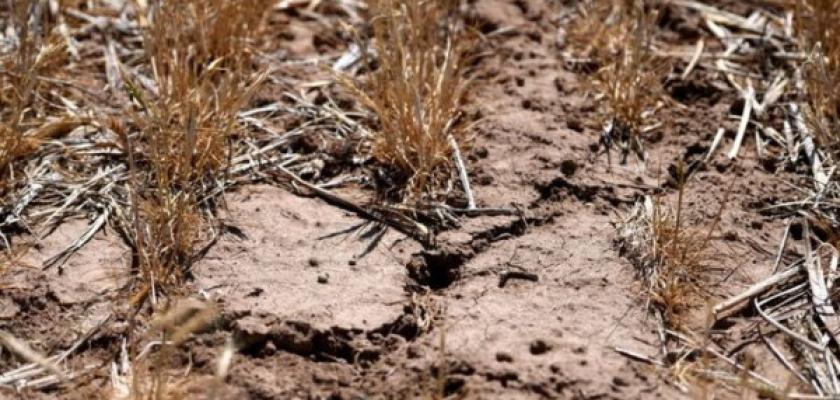 الجفاف وحرب إيران يفاقمان معاناة المزارعين في الولايات المتحدة
