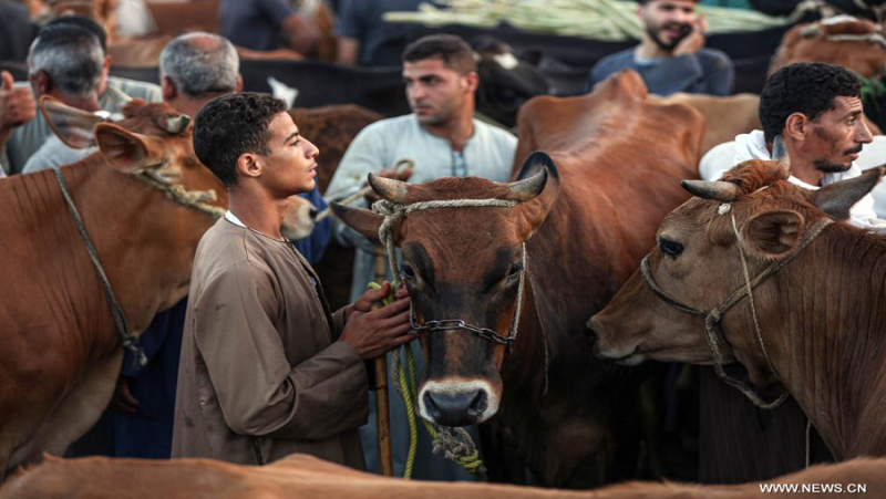عيد الأضحى 2026.. موعد وقفة عرفات وأيام التشريق