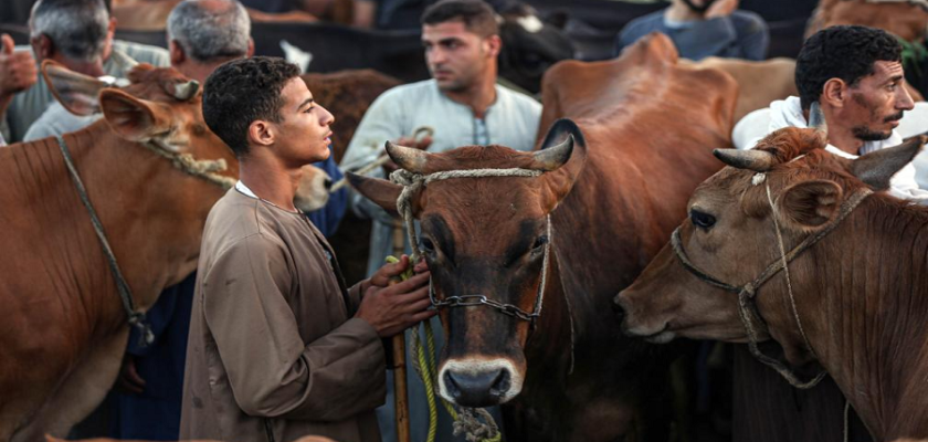 عيد الأضحى 2026.. موعد وقفة عرفات وأيام التشريق