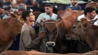 عيد الأضحى 2026.. موعد وقفة عرفات وأيام التشريق