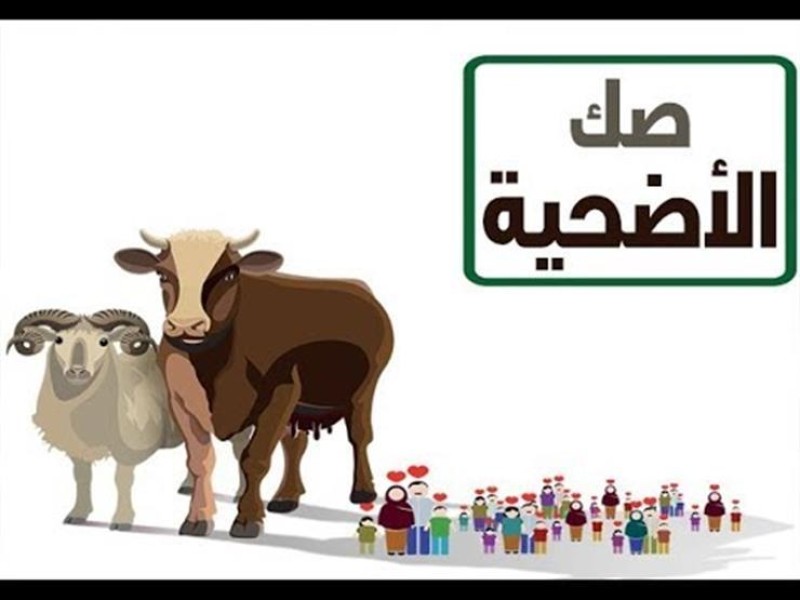 الإفتاء: يجوز للمضحى أن يُنيب عنه إحدى الجمعيات الخيرية لشراء صك الأضحية