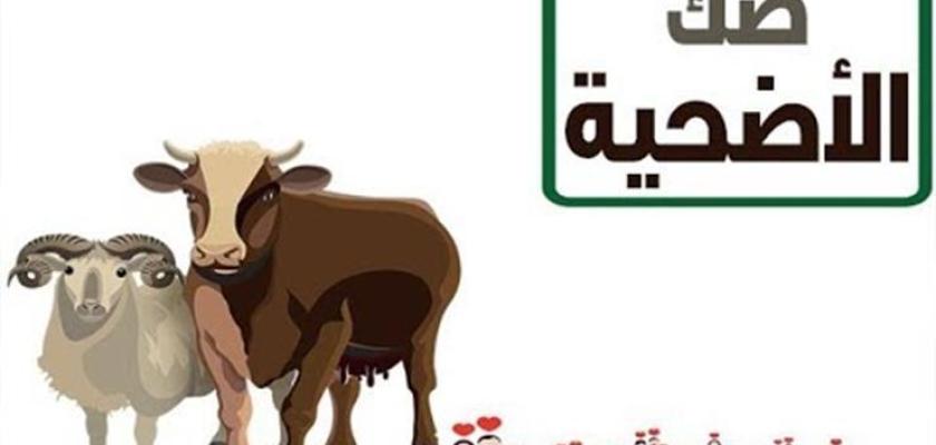 الإفتاء: يجوز للمضحى أن يُنيب عنه إحدى الجمعيات الخيرية لشراء صك الأضحية