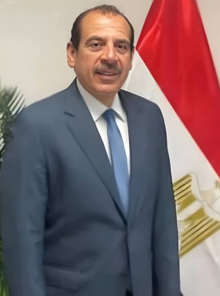 من هو الدكتور عمرو قنديل .. وما هي جائزة نيلسون مانديلا؟