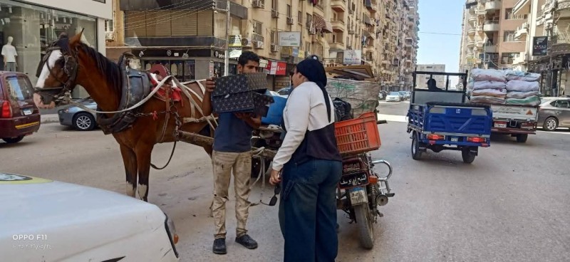 محافظ الدقهلية يتابع حملة حي غرب المنصورة للتصدي لظاهرة ”النباشين”