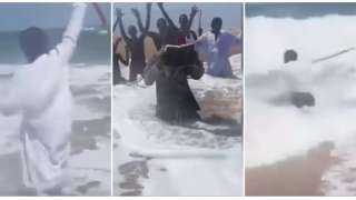 كان هيغرق هو وأنصاره.. شخص يدعي أنه سيشق البحر بعصاه والنتيجة صادمة